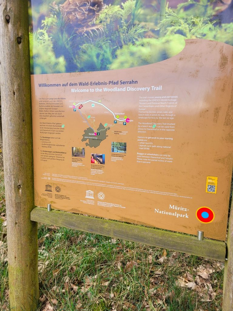Infotafel am Wald-Erlebnis-Pfad Serrahn im Müritz-Nationalpark, UNESCO Welterbe Serrahner Buchenwald.